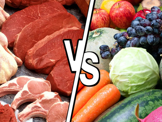 Biodispinibilité des Nutriments Feature