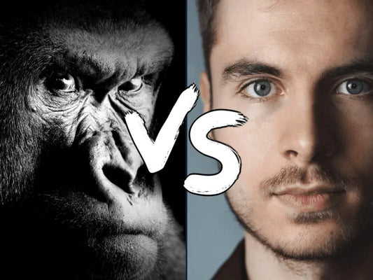 Homme vs Gorille alimentation Feature